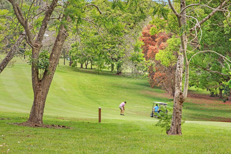 Photo - 41-43 Jenyns Road, Tamborine Mountain QLD 4272 - Image 19