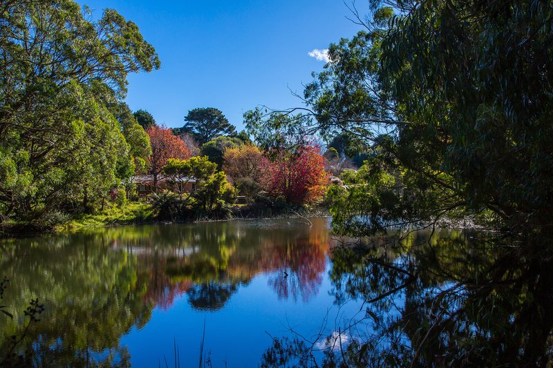 Photo - 41-43 May Street, Robertson NSW 2577 - Image 7