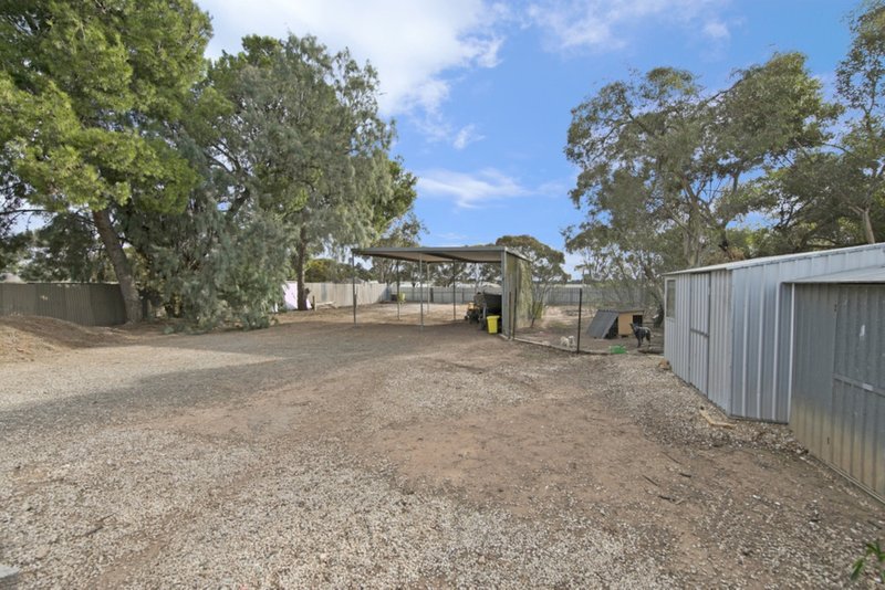 Photo - 41 Aerodrome Road, Mallala SA 5502 - Image 13