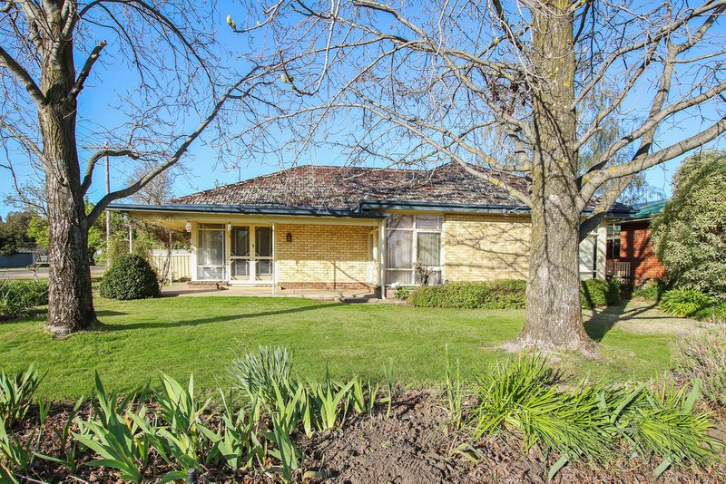 Photo - 41 Anderson Street, Euroa VIC 3666 - Image 16