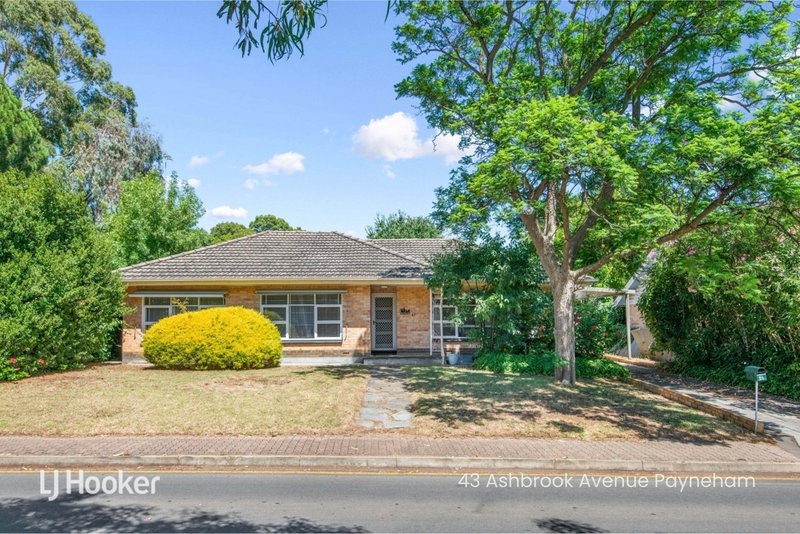 Photo - 41 Ashbrook Avenue, Payneham SA 5070 - Image 11