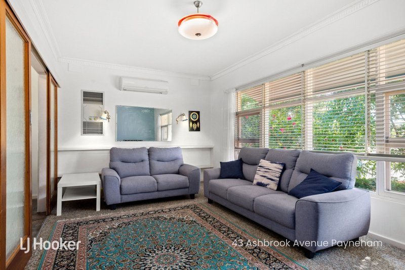 Photo - 41 Ashbrook Avenue, Payneham SA 5070 - Image 12