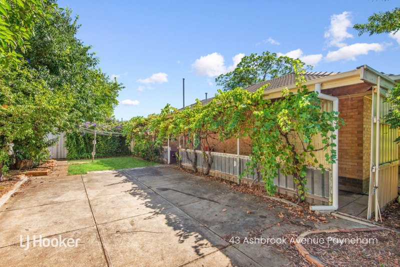 Photo - 41 Ashbrook Avenue, Payneham SA 5070 - Image 20