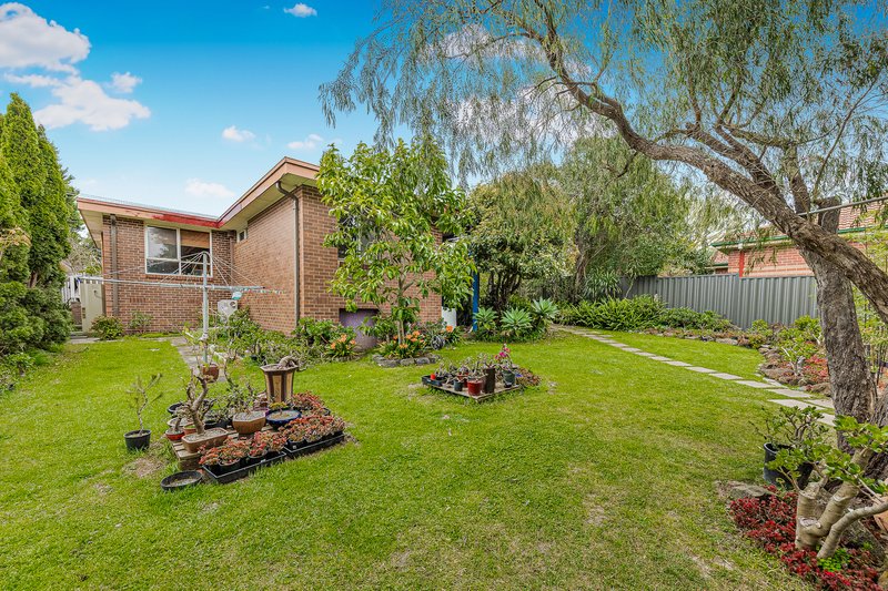 Photo - 41 Avalon Road, Rowville VIC 3178 - Image 14