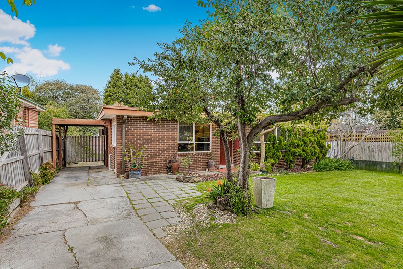 Photo - 41 Avalon Road, Rowville VIC 3178 - Image 17