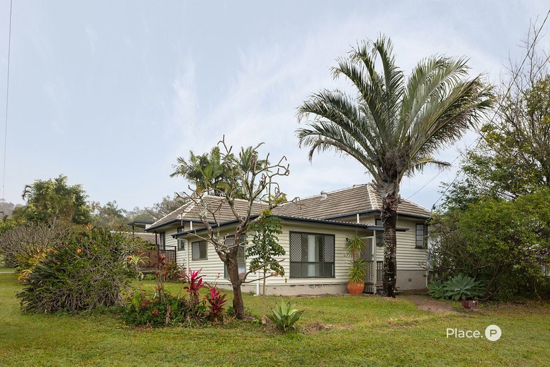 Photo - 41 Bernecker Street, Carina QLD 4152 - Image 15