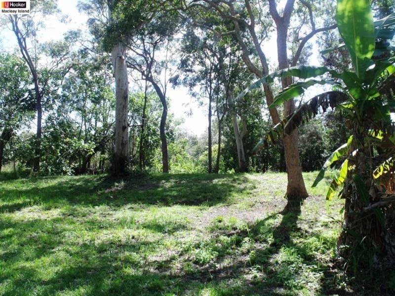 Photo - 41 Blue Bay Crescent, Macleay Island QLD 4184 - Image 4