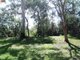 Photo - 41 Blue Bay Crescent, Macleay Island QLD 4184 - Image 5