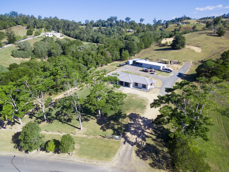 Photo - 41 Booyong Drive, Black Mountain QLD 4563 - Image 2