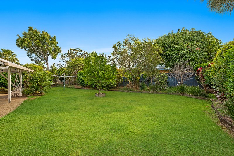 Photo - 41 Bribie Pine Court, Buderim QLD 4556 - Image 3