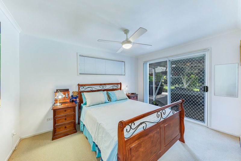 Photo - 41 Bribie Pine Court, Buderim QLD 4556 - Image 8