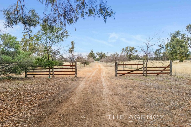 Photo - 41 Brumby Chase, Morangup WA 6083 - Image 4