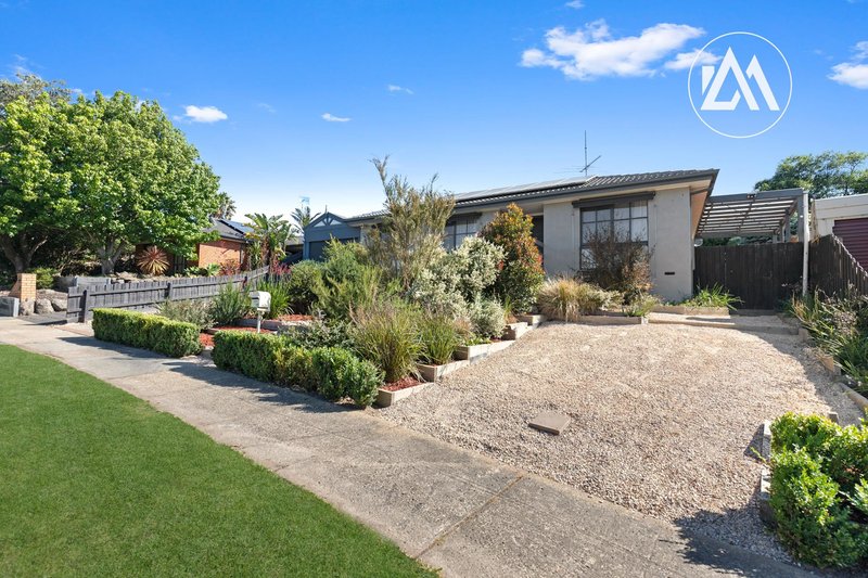 Photo - 41 Burgess Drive, Langwarrin VIC 3910 - Image 22