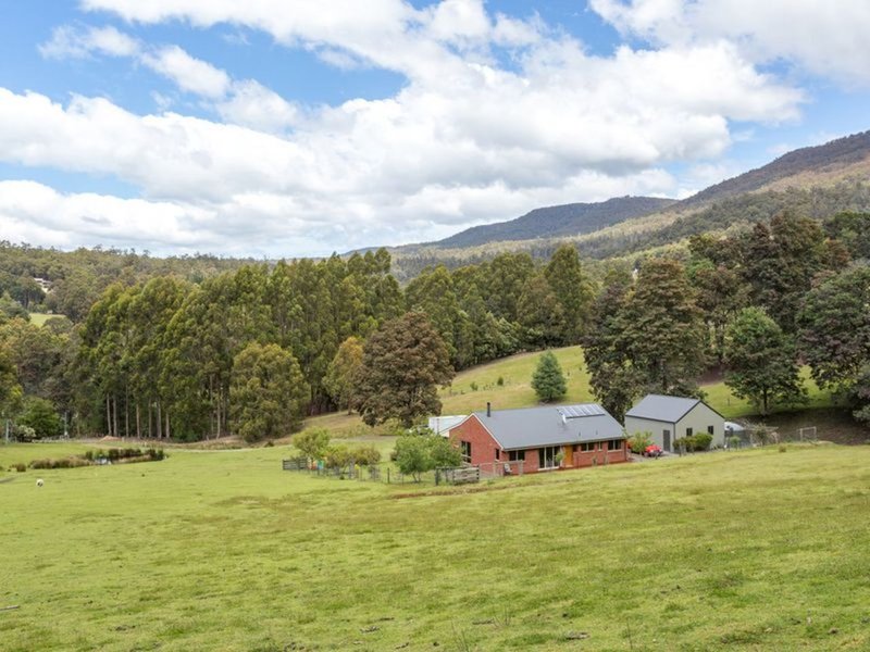 Photo - 41 Cuthberts Road, Margate TAS 7054 - Image 1