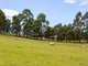 Photo - 41 Cuthberts Road, Margate TAS 7054 - Image 3