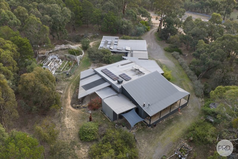 Photo - 41 Finnigan'S Lane, Beaufort VIC 3373 - Image 1