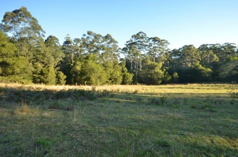 Photo - 41 Fishers Ridge & 133 Letterbox Road, Bellangry NSW 2446 - Image 16