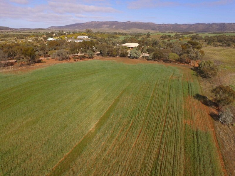 41 French Road, Quorn SA 5433 Real Estate Industry Partners