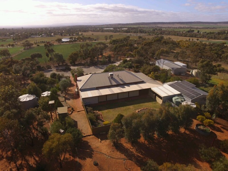 41 French Road, Quorn SA 5433 Real Estate Industry Partners