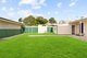 Photo - 41 Gale Street, Concord NSW 2137 - Image 10