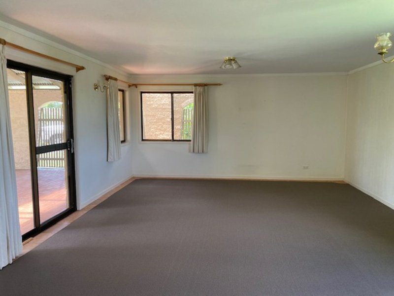 Photo - 41 Henderson Road, Everton Hills QLD 4053 - Image 2