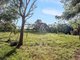 Photo - 41 Henson Road, Wyrallah NSW 2480 - Image 13