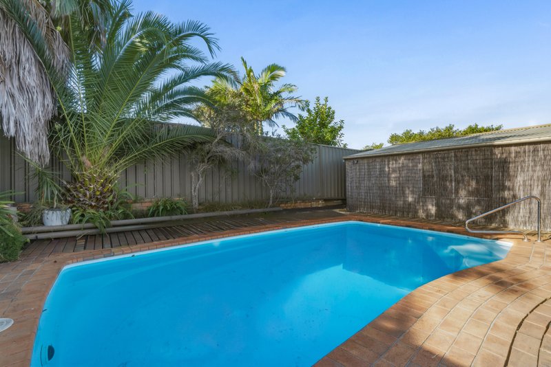 Photo - 41 Highview Street, Tumbi Umbi NSW 2261 - Image 11