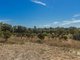 Photo - 41 Hilltop Rise, Karnup WA 6176 - Image 7