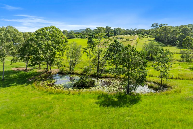 Photo - 41 Kabi Road, Cootharaba QLD 4565 - Image 28