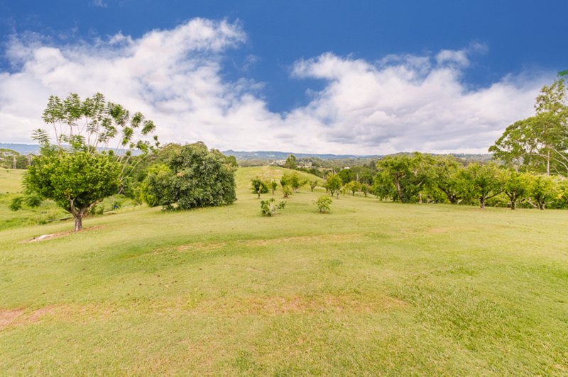 Photo - 41 Kiel Mountain Road, Woombye QLD 4559 - Image 22