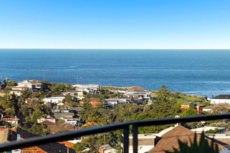 Photo - 41 Knox Street, Clovelly NSW 2031 - Image 6