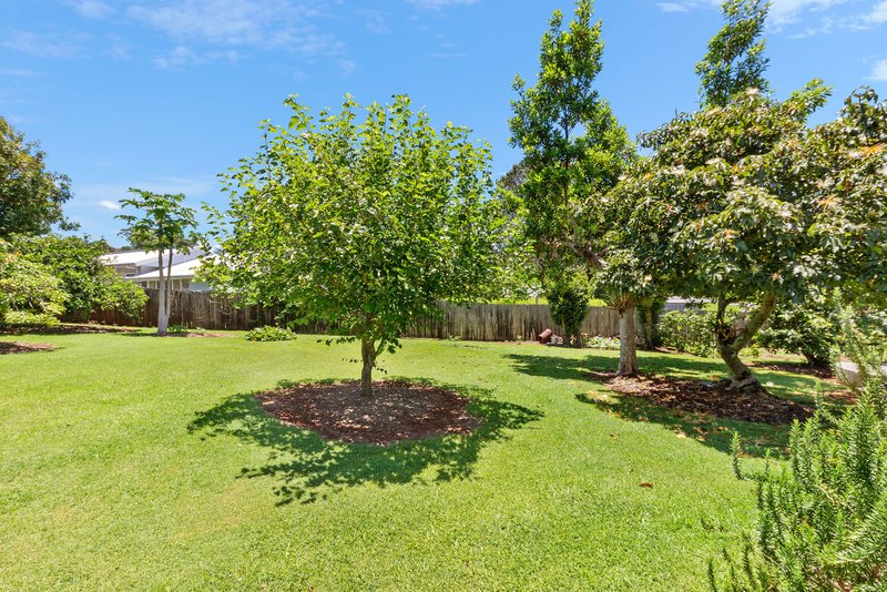 41 Licuala Drive, Tamborine Mountain QLD 4272