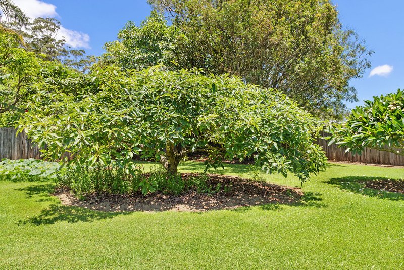 Photo - 41 Licuala Drive, Tamborine Mountain QLD 4272 - Image 17