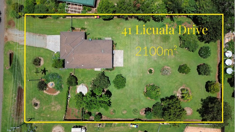 Photo - 41 Licuala Drive, Tamborine Mountain QLD 4272 - Image 21