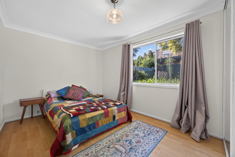 Photo - 41 Mount Lewis Avenue, Punchbowl NSW 2196 - Image 7