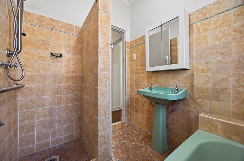 Photo - 41 Mount Lewis Avenue, Punchbowl NSW 2196 - Image 14