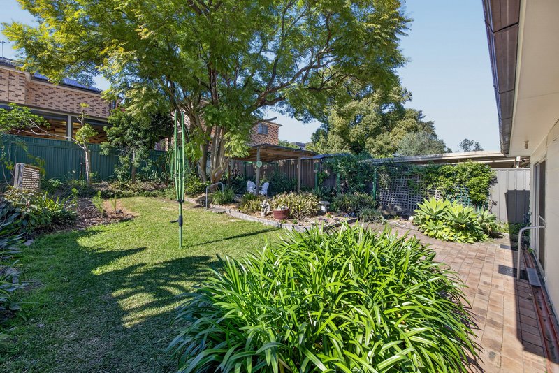 Photo - 41 Mount Lewis Avenue, Punchbowl NSW 2196 - Image 16