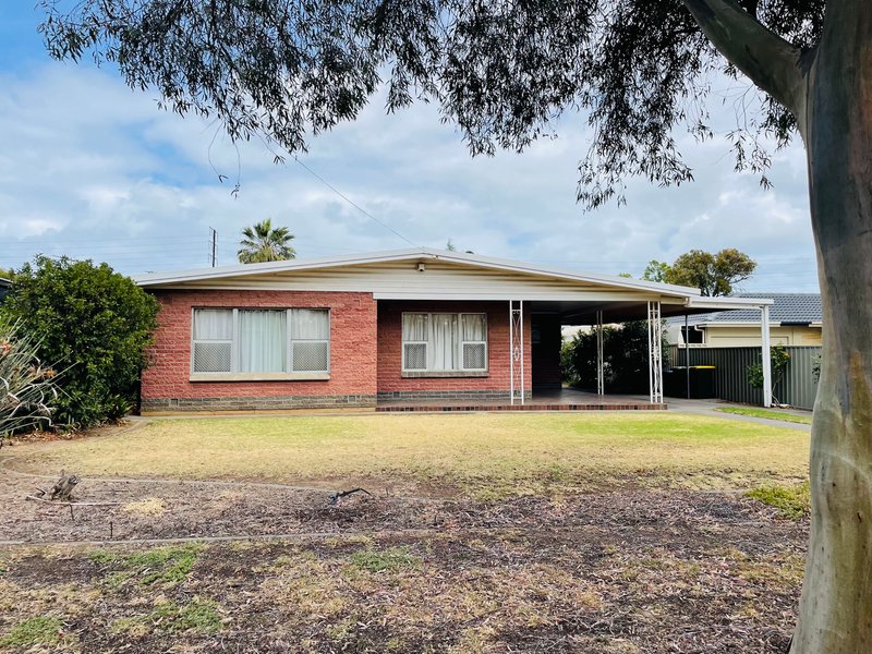 41 Mountbatten Terrace, Flinders Park SA 5025