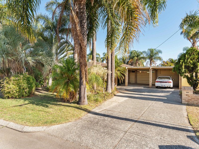 41 Narcissus , Parkwood WA 6147