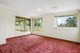 Photo - 41 Newhaven Avenue, Blacktown NSW 2148 - Image 5