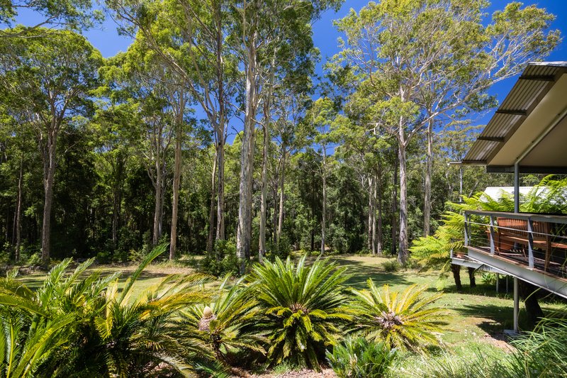 Photo - 41 Old Princes Highway, Termeil NSW 2539 - Image 26