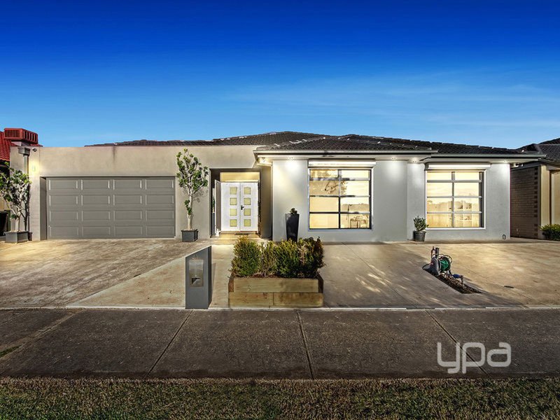 41 Pimelea Terrace, St Albans VIC 3021