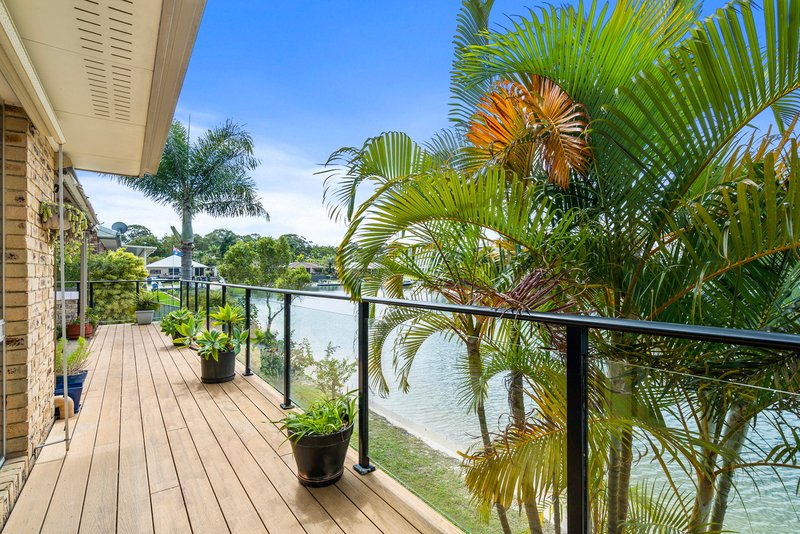 Photo - 41 Plover Place, Tweed Heads West NSW 2485 - Image 2