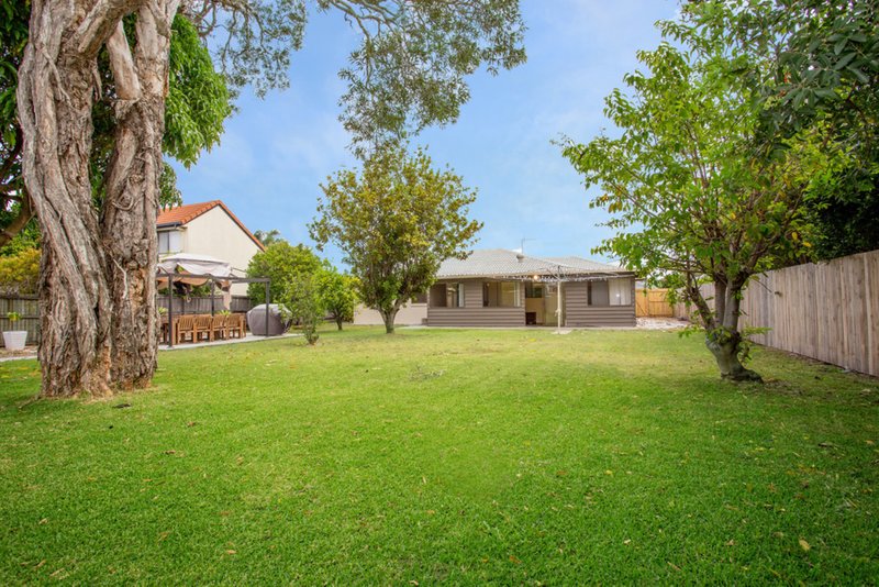 41 Poinsettia Avenue, Hollywell QLD 4216