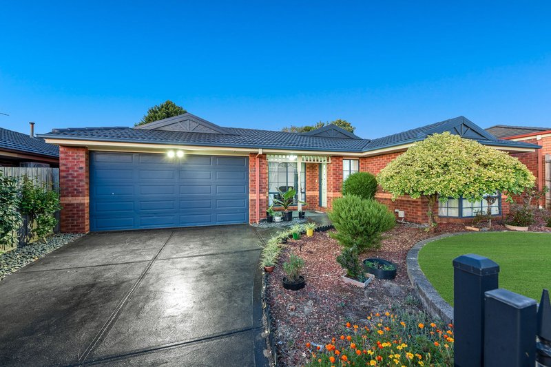 Photo - 41 Protea Street, Carrum Downs VIC 3201 - Image 3