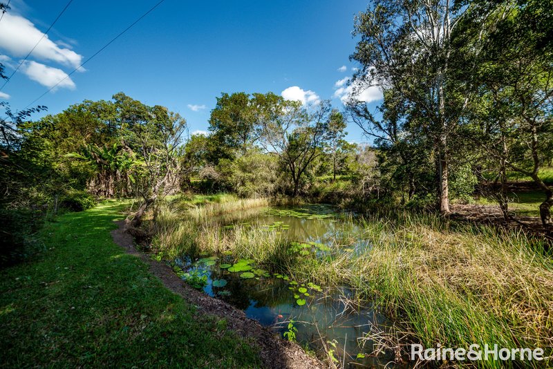 Photo - 41 Railway Road, Cooran QLD 4569 - Image 4