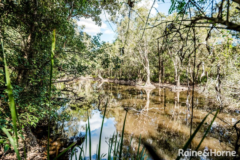 Photo - 41 Railway Road, Cooran QLD 4569 - Image 17