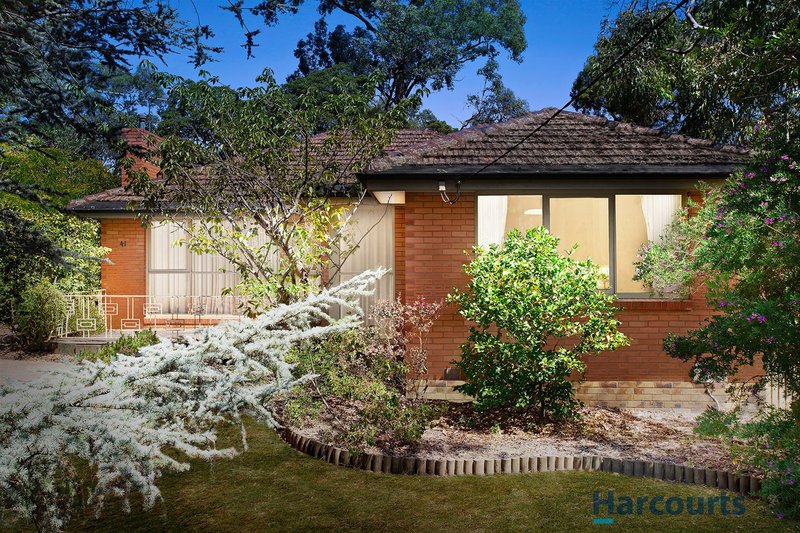 41 Rosalind Crescent, Blackburn VIC 3130