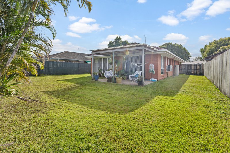 Photo - 41 Statesman Circuit, Sippy Downs QLD 4556 - Image 3