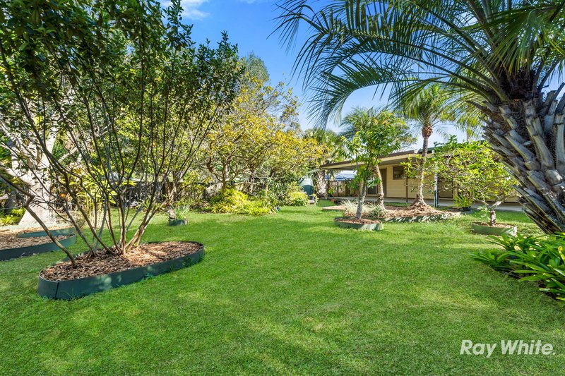 Photo - 41 Sunscape Drive, Eagleby QLD 4207 - Image 3